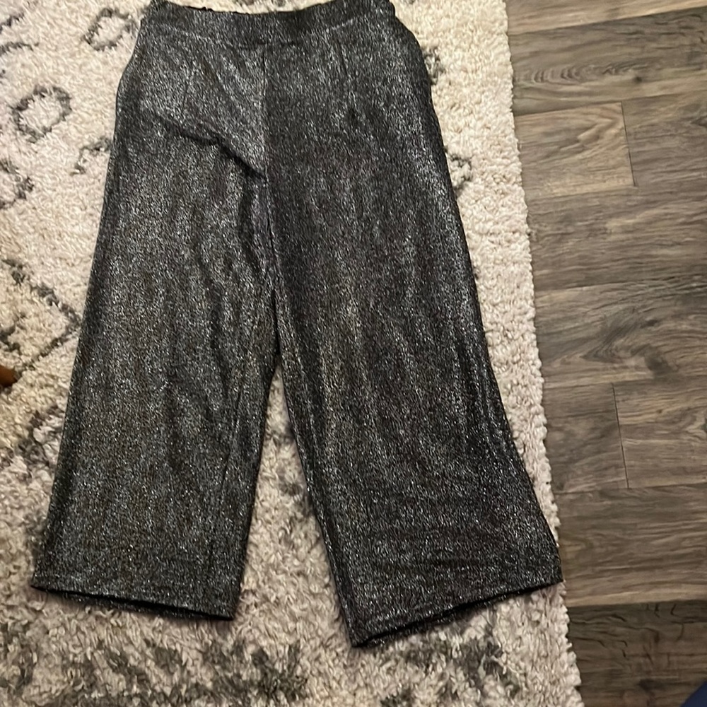 Sparkly High waisted pants. Torrid. Size 2